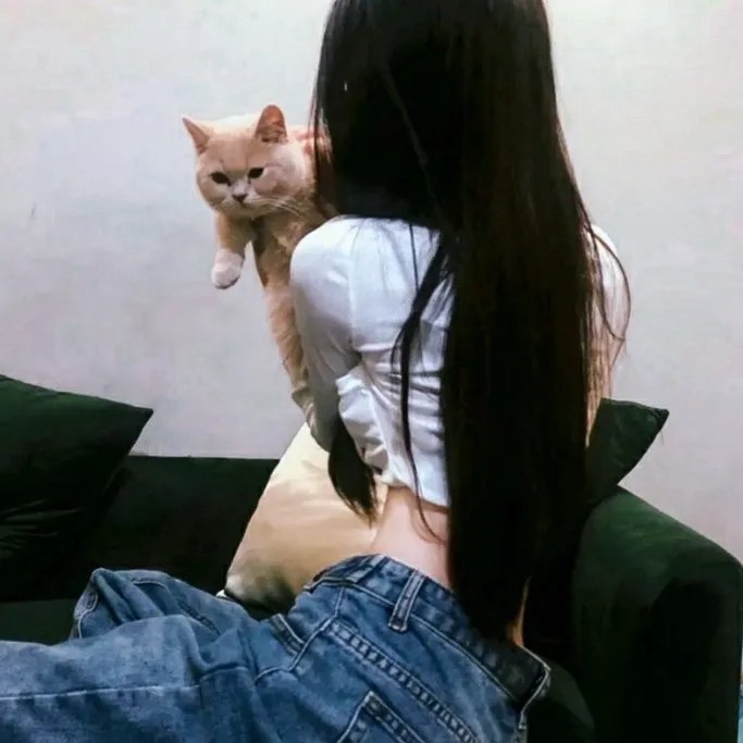 皮相猎影